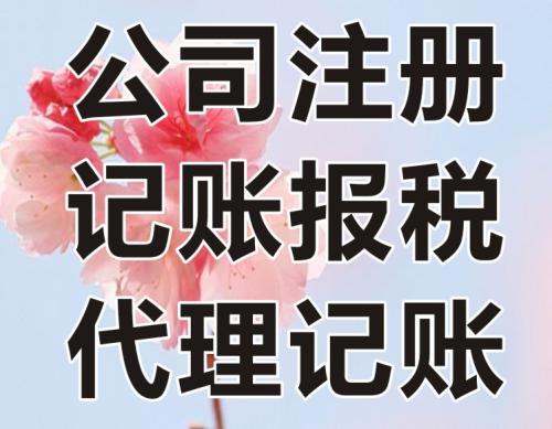 偃師財務代理記賬服務 讓信息服務業務放心可靠